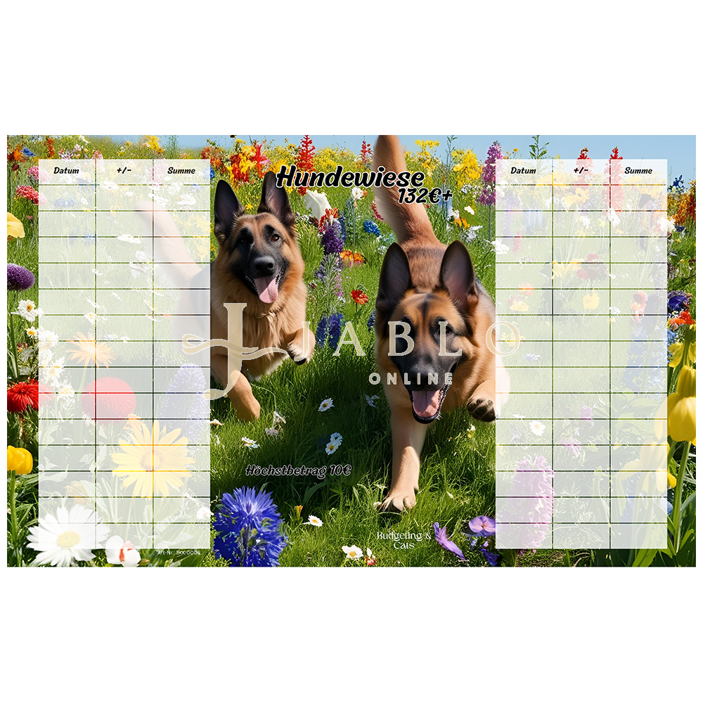 Budgeting & Cats - Hundewiese 132€+ - 3er Klappkarte