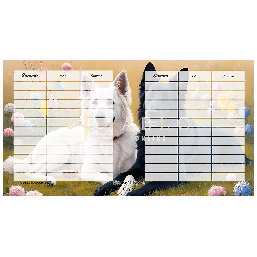 Budgeting & Cats - Kimba & Cleo 80€+ - einfache Challenge