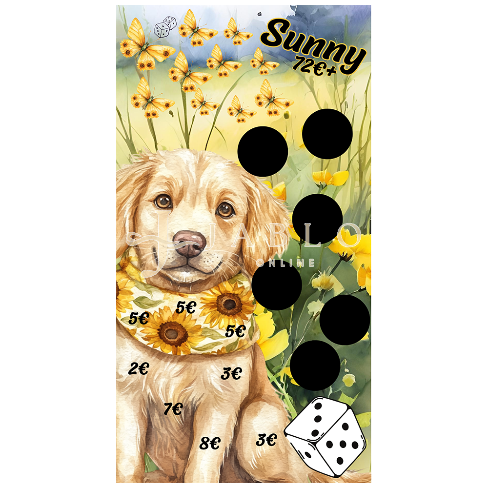 Budgeting & Cats - Sunny 72€+ - einfache Challenge