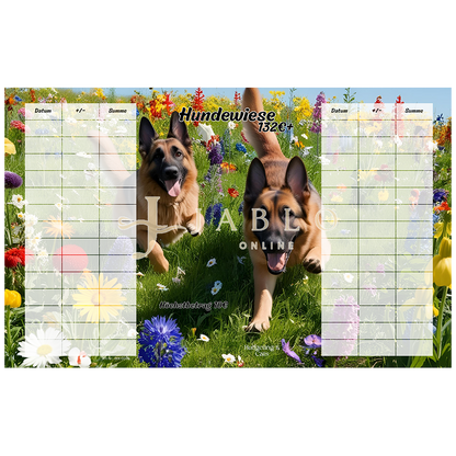Budgeting & Cats - Hundewiese 132€+ - 3er Klappkarte