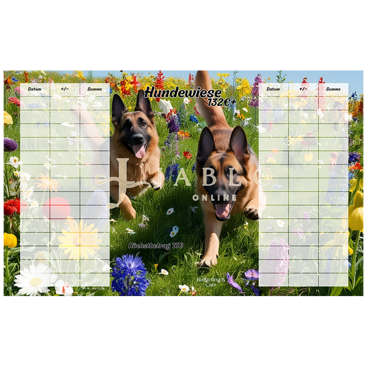 Budgeting & Cats - Hundewiese 132€+ - 3er Klappkarte