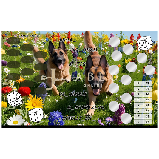 Budgeting & Cats - Hundewiese 132€+ - 3er Klappkarte