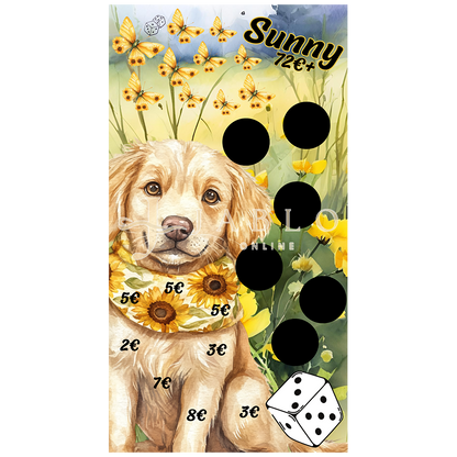 Budgeting & Cats - Sunny 72€+ - einfache Challenge