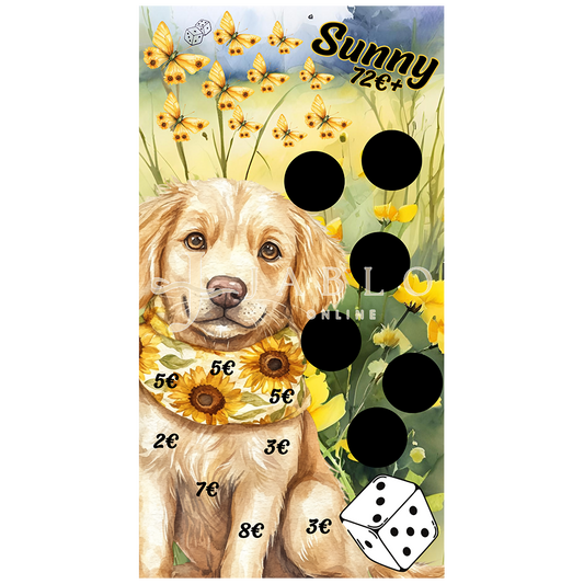 Budgeting & Cats - Sunny 72€+ - einfache Challenge