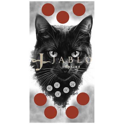 Black Cat - einfache Challenge
